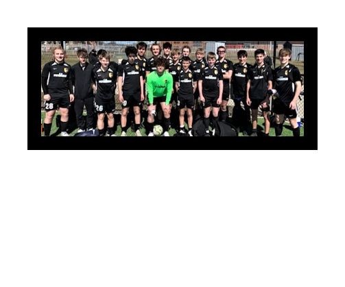 05b gold hotspurs2 05b gold hotspurs2